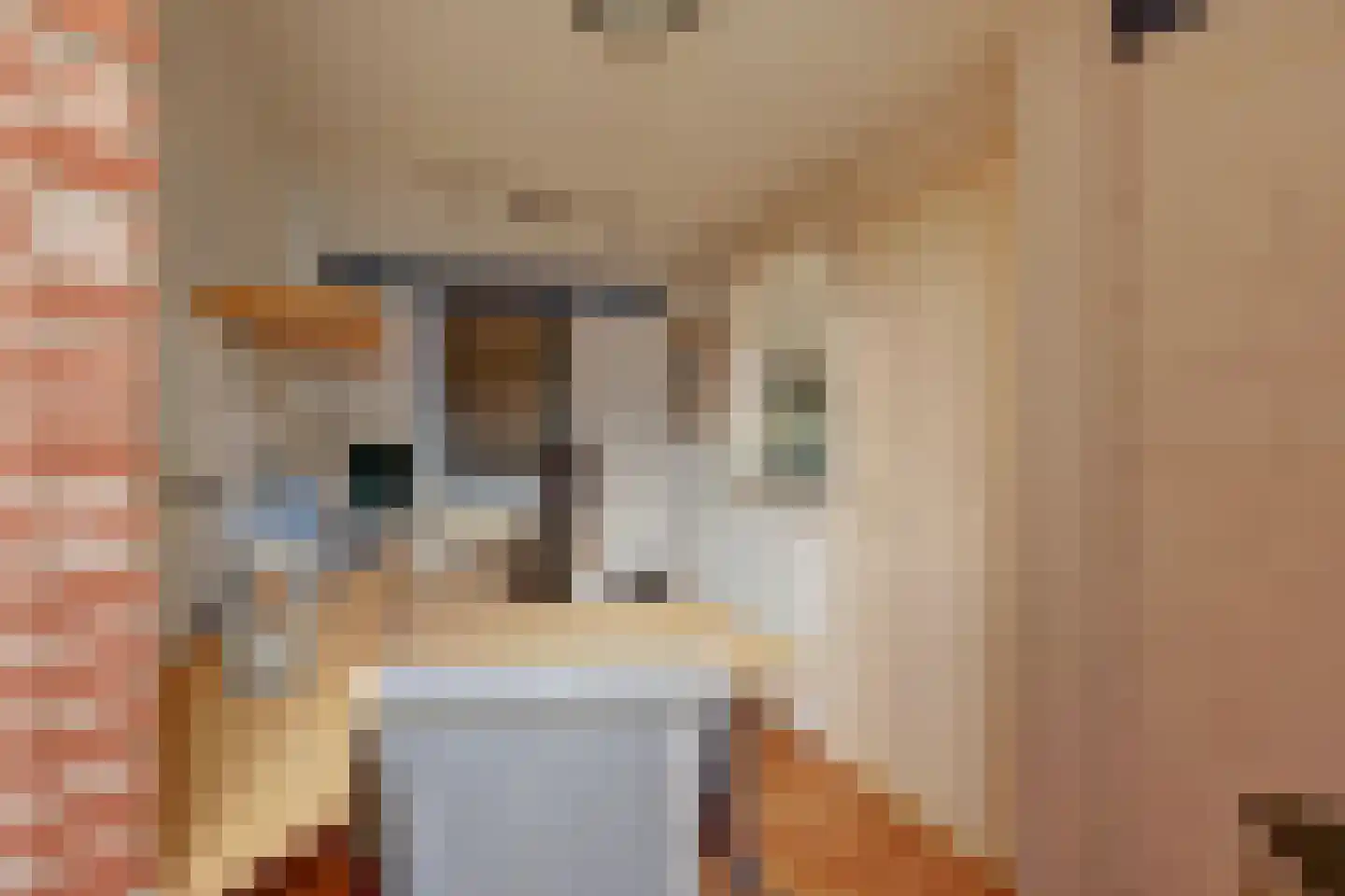 Speulmanweg 11 Beusichem thumbnail 57