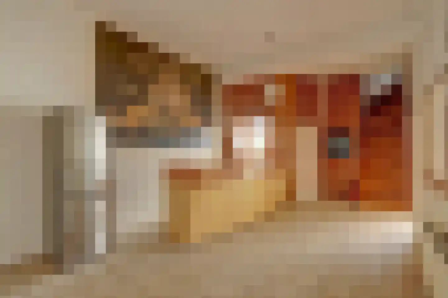 Speulmanweg 11 Beusichem thumbnail 58