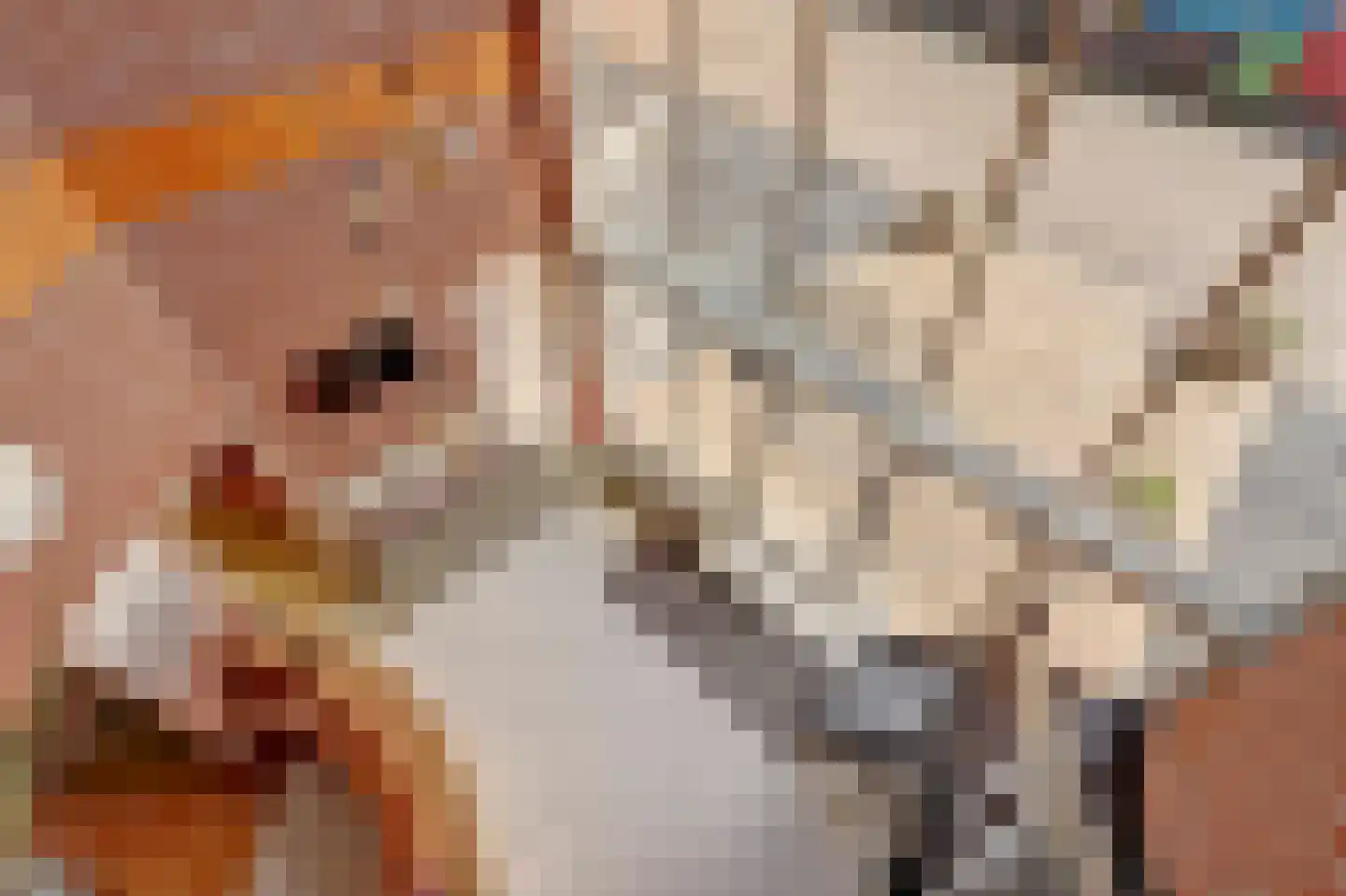 Speulmanweg 11 Beusichem thumbnail 7