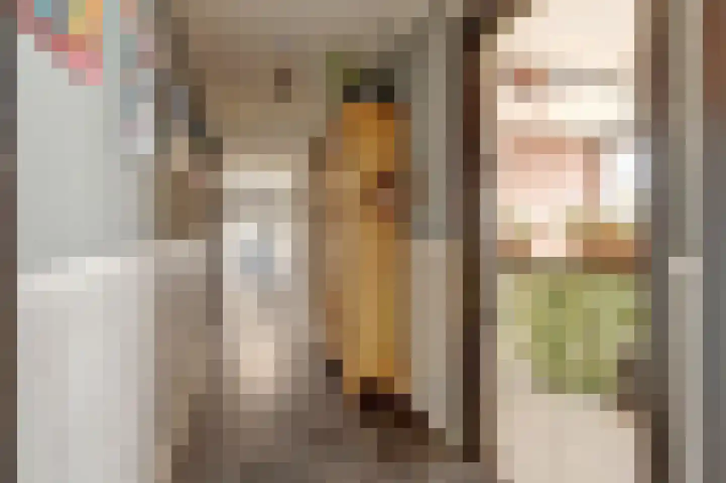 Speulmanweg 11 Beusichem thumbnail 9