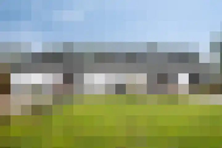 Speurgt 6 en Bakel