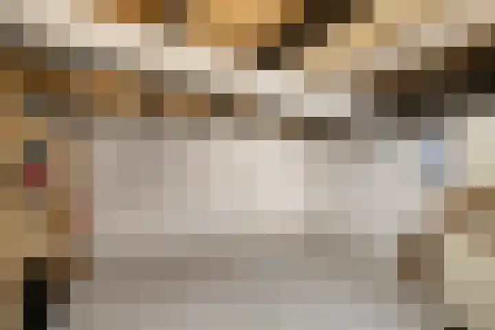 Speurgt 6 a Bakel thumbnail 26