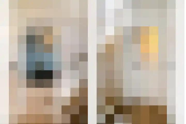 Speurgt 6 a Bakel thumbnail 28