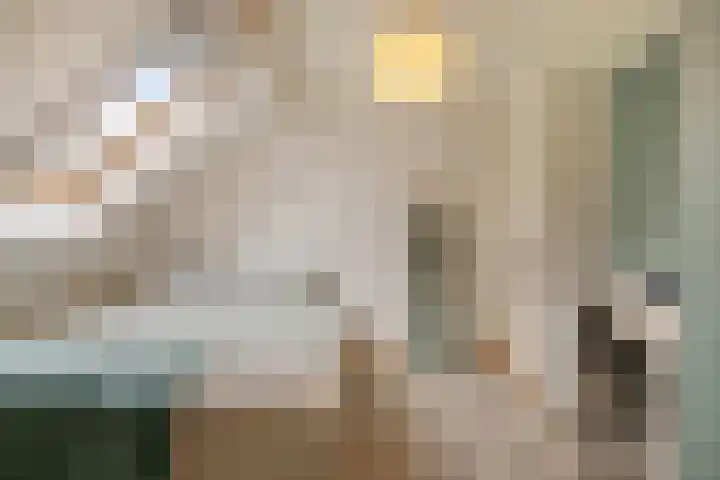 Speurgt 6 a Bakel thumbnail 4