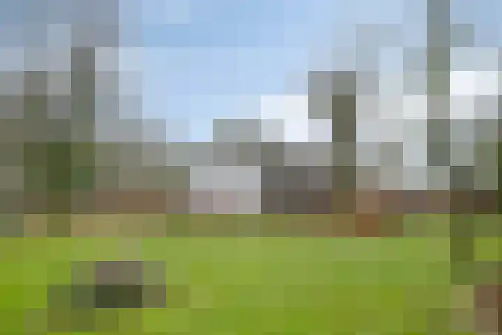 Speurgt 6 a Bakel thumbnail 42