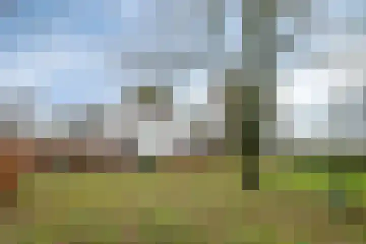 Speurgt 6 a Bakel thumbnail 48