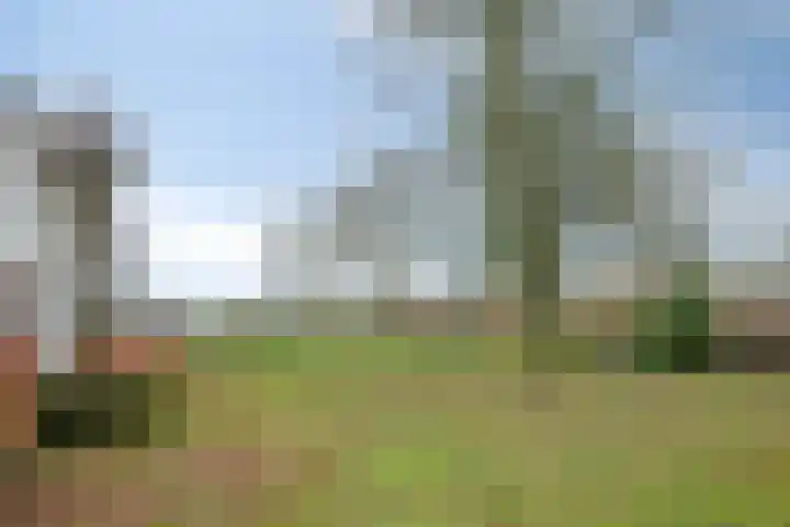 Speurgt 6 a Bakel thumbnail 49