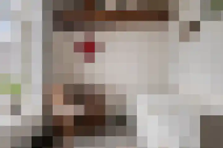 Speurgt 6 Bakel thumbnail 14