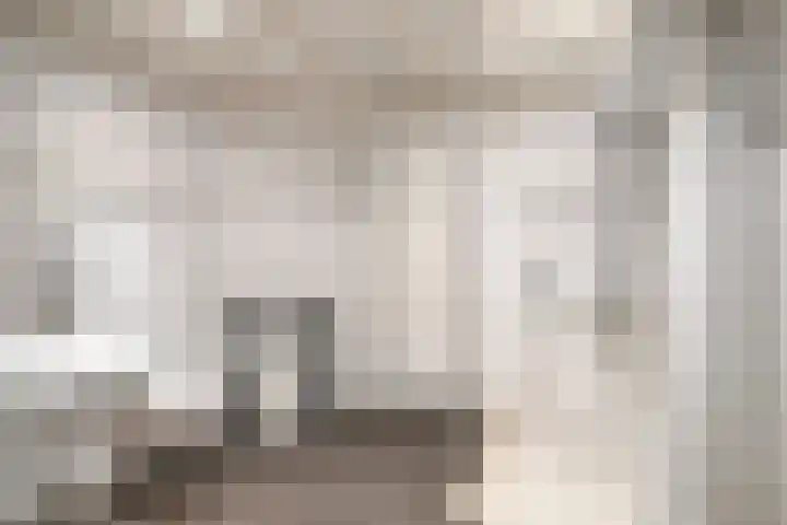 Speurgt 6 Bakel thumbnail 15