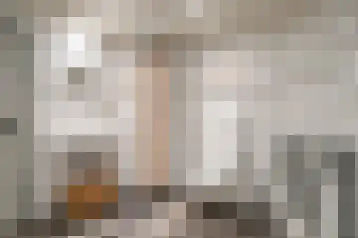 Speurgt 6 Bakel thumbnail 16