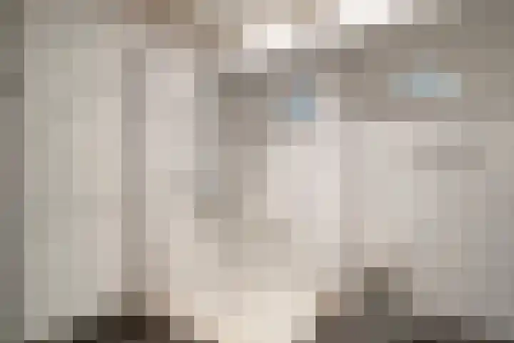 Speurgt 6 Bakel thumbnail 17