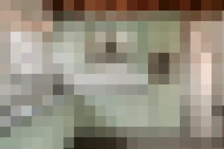 Speurgt 6 Bakel thumbnail 20