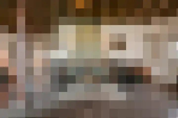 Speurgt 6 Bakel thumbnail 32