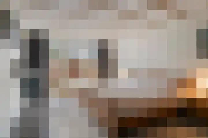 Speurgt 6 Bakel thumbnail 35