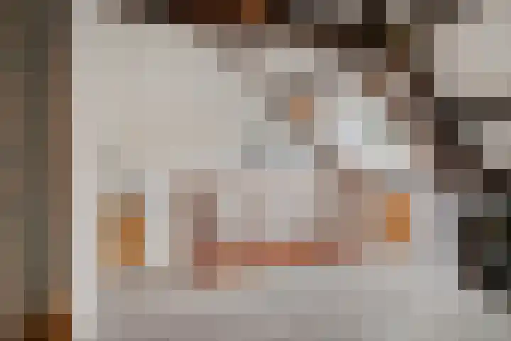 Speurgt 6 Bakel thumbnail 39