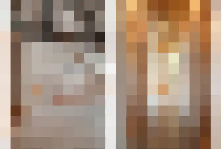 Speurgt 6 Bakel thumbnail 40