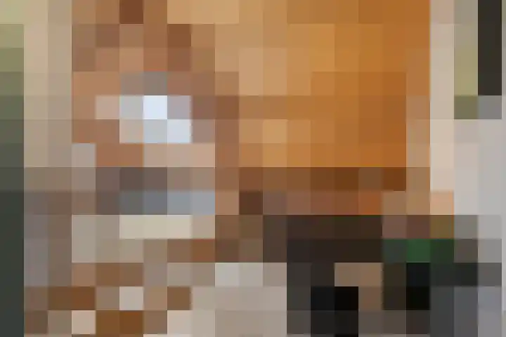 Speurgt 6 Bakel thumbnail 41