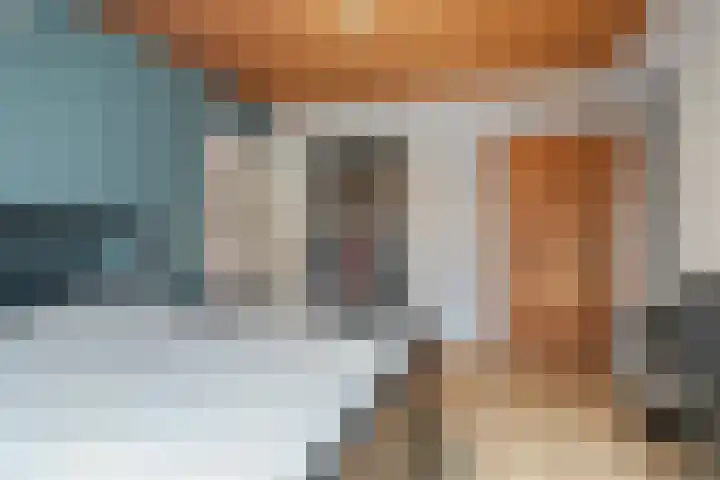 Speurgt 6 Bakel thumbnail 43