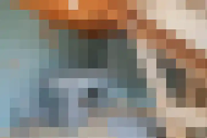 Speurgt 6 Bakel thumbnail 45