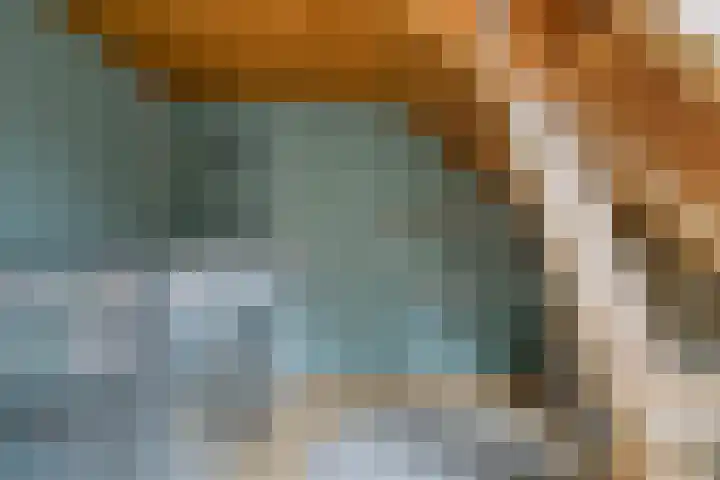 Speurgt 6 Bakel thumbnail 46