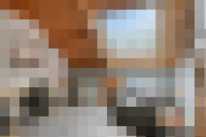 Speurgt 6 Bakel thumbnail 48