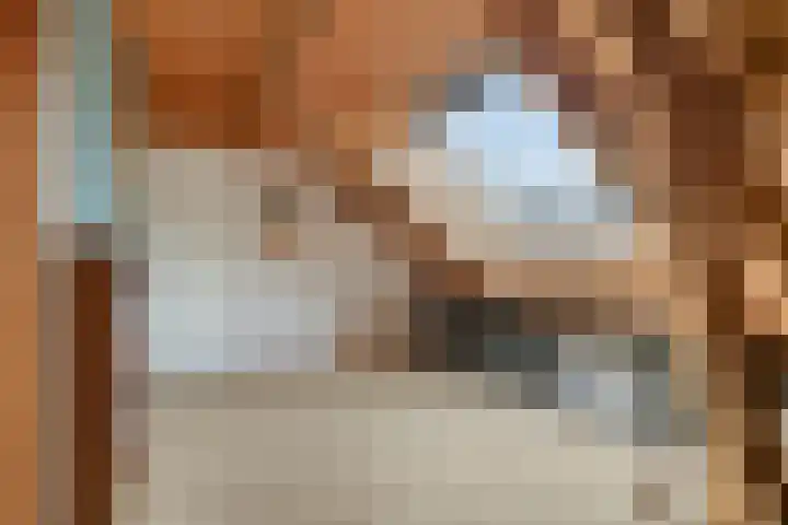 Speurgt 6 Bakel thumbnail 49