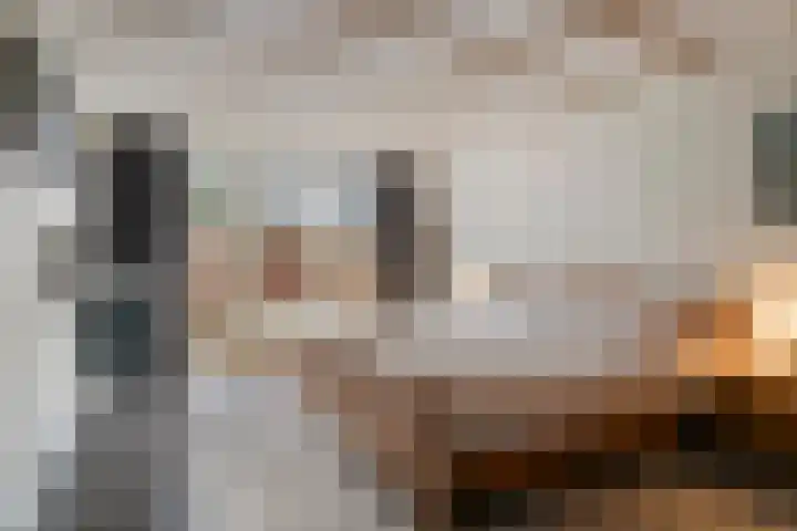 Speurgt 6 Bakel thumbnail 5