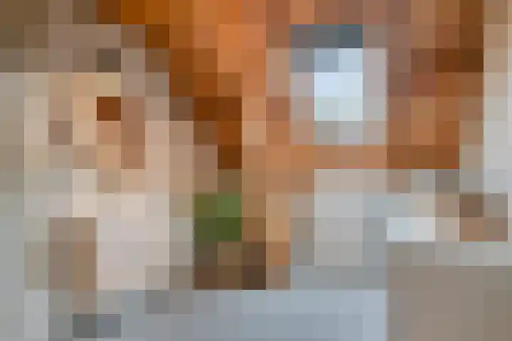 Speurgt 6 Bakel thumbnail 51