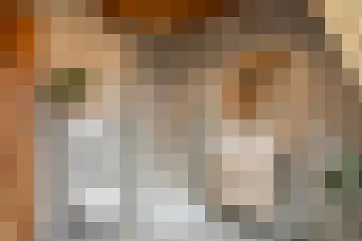Speurgt 6 Bakel thumbnail 52