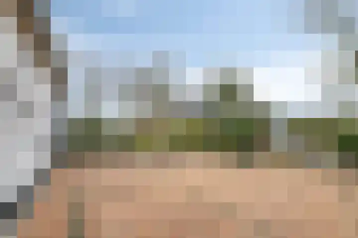 Speurgt 6 Bakel thumbnail 54