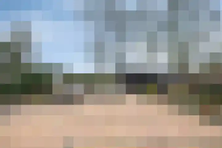 Speurgt 6 Bakel thumbnail 55