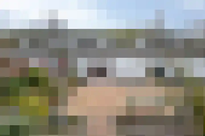 Speurgt 6 Bakel thumbnail 56