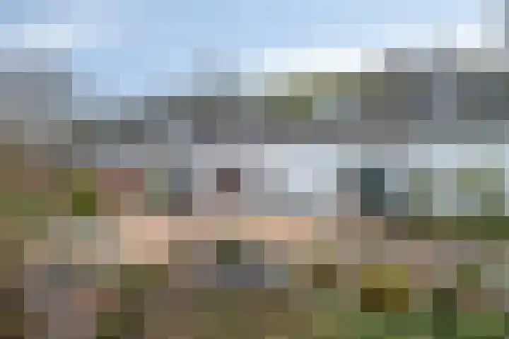 Speurgt 6 Bakel thumbnail 57