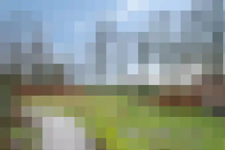Speurgt 6 Bakel thumbnail 58