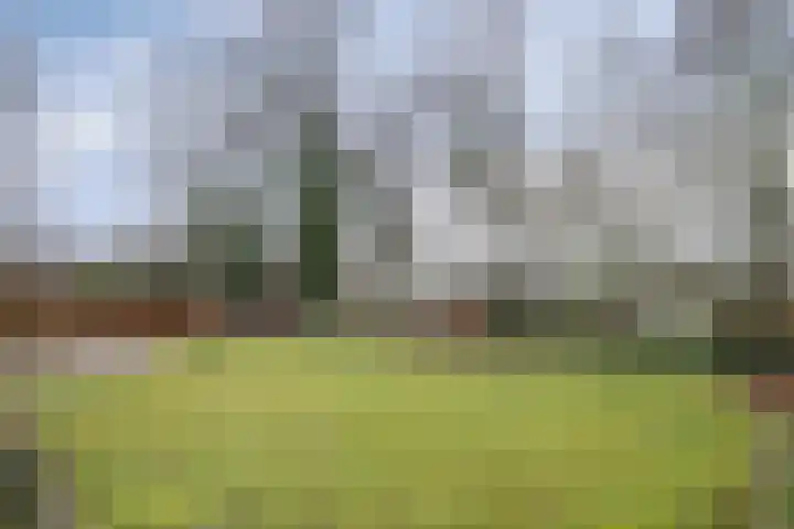 Speurgt 6 Bakel thumbnail 59