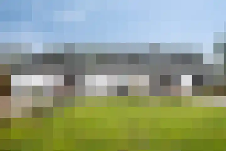 Speurgt 6 Bakel thumbnail 6