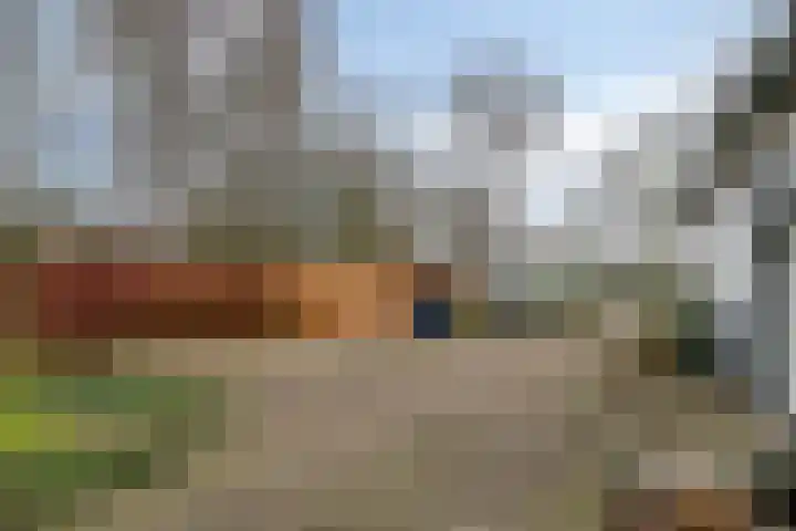 Speurgt 6 Bakel thumbnail 60