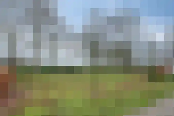 Speurgt 6 Bakel thumbnail 61