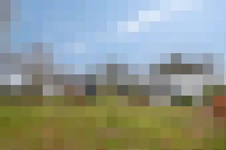 Speurgt 6 Bakel thumbnail 62