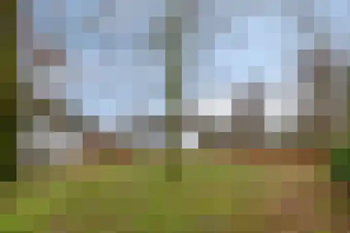 Speurgt 6 Bakel thumbnail 63