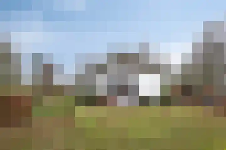 Speurgt 6 Bakel thumbnail 65