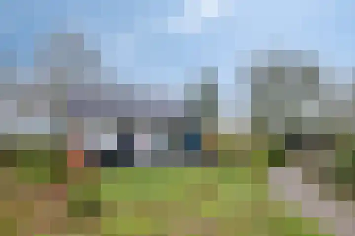 Speurgt 6 Bakel thumbnail 66