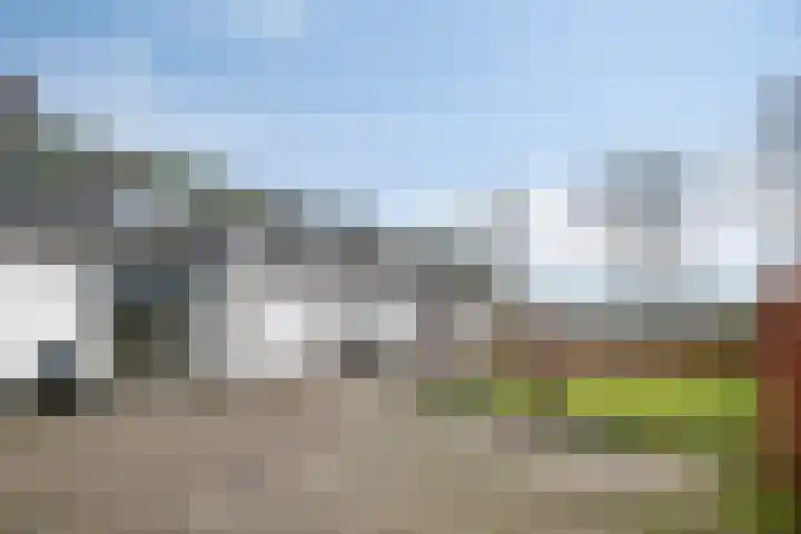 Speurgt 6 Bakel thumbnail 7