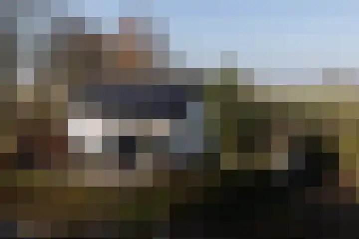 Speurgt 6 Bakel thumbnail 71