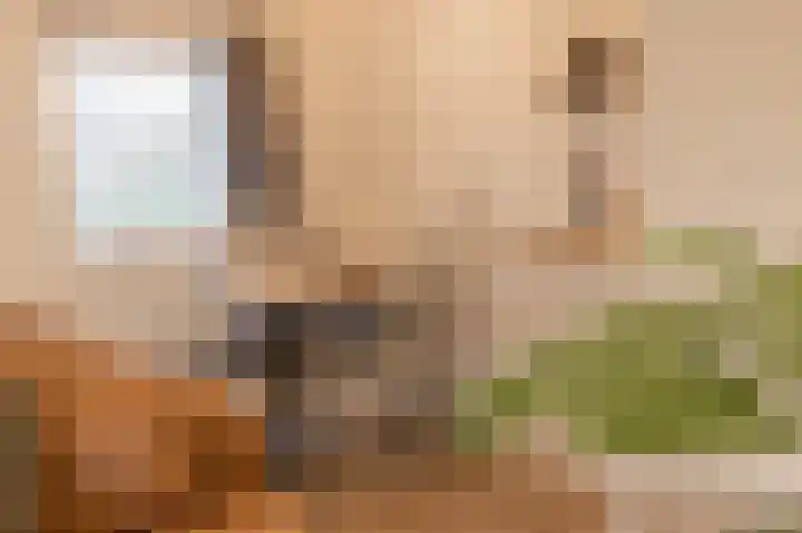 Speurgt 6 Bakel thumbnail 75