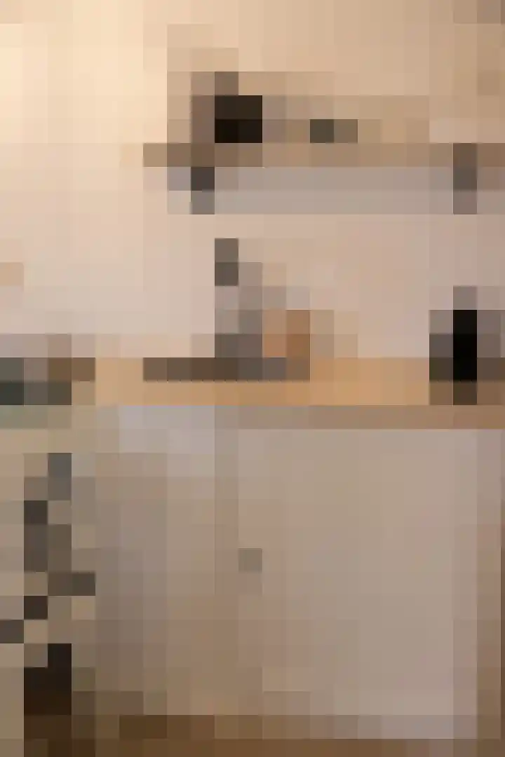 Speurgt 6 Bakel thumbnail 76