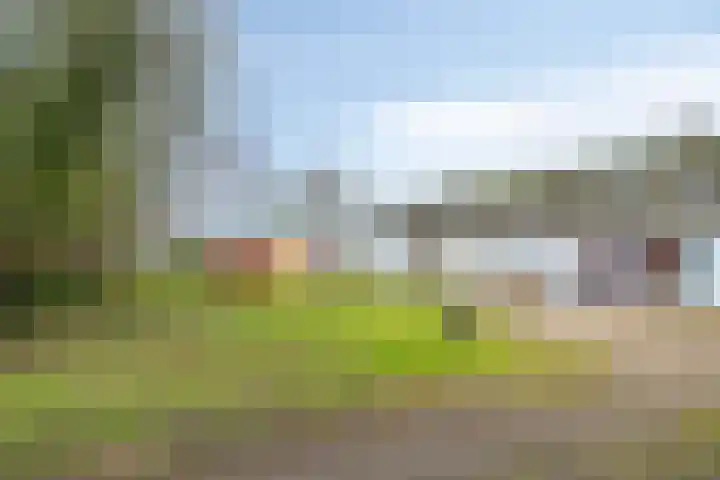 Speurgt 6 Bakel thumbnail 8