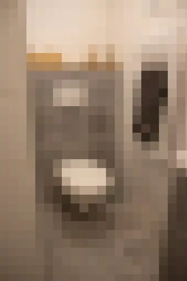 Speurgt 6 Bakel thumbnail 80