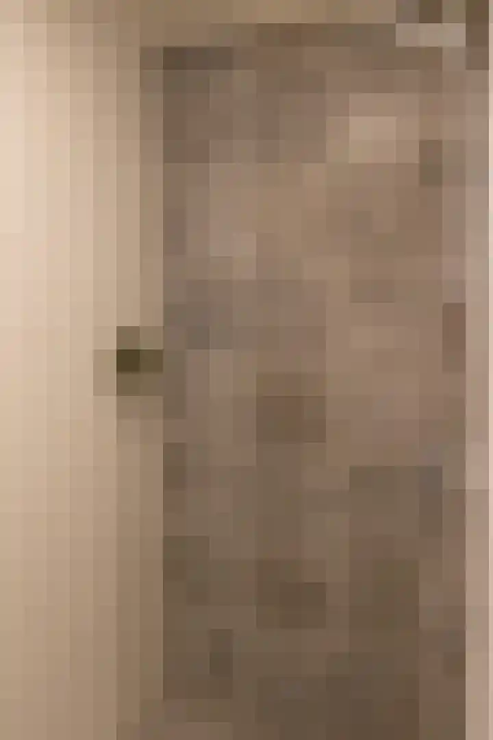 Speurgt 6 Bakel thumbnail 81