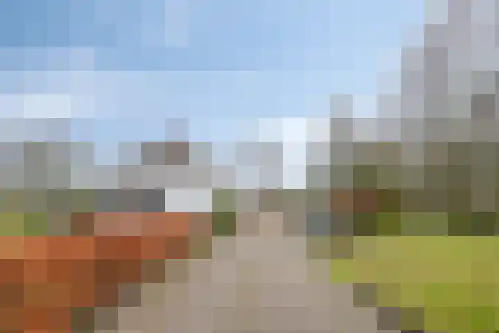 Speurgt 6 Bakel thumbnail 9